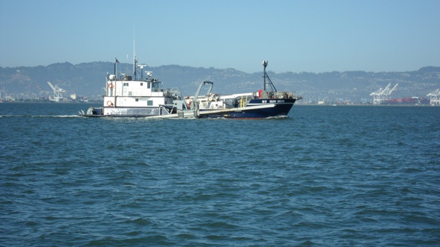 The Quinn Delta, a drilling ship