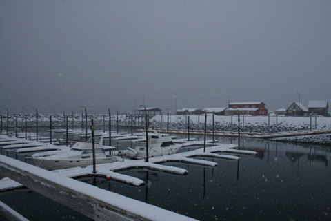 Snow in the Whittier harbor