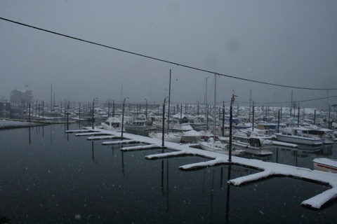 Snow in the harbor