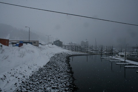 Snow along the shore