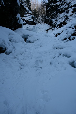 Ice covered trail