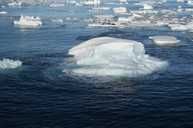 A big piece of ice bobbing in the ocean