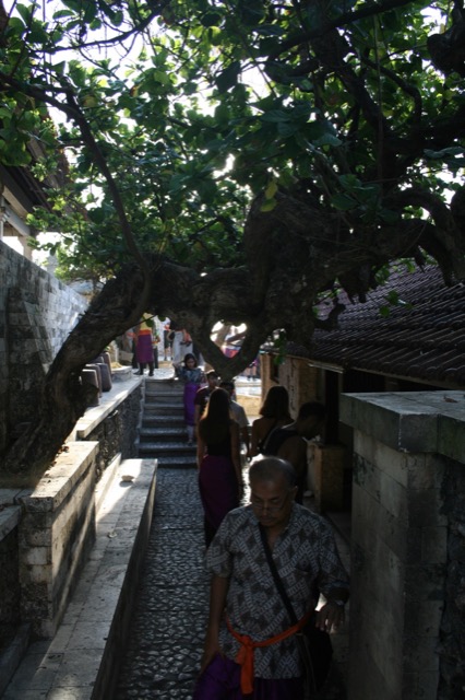 Tree covered walkway