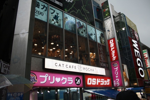 Cat Cafe from the outside