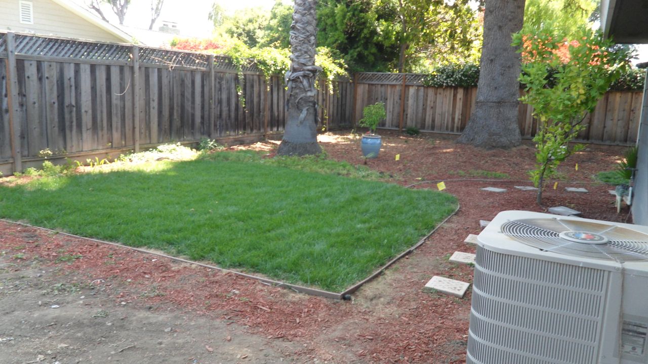 Before: Grass Area