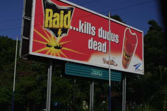 IMG_1111 Raid kills dudus dead