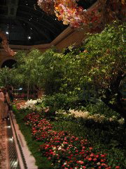 Rose Garden inside the Belagio