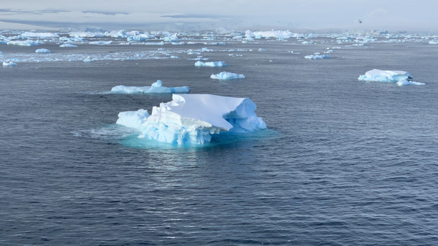 Iceberg bobbing in the ocean