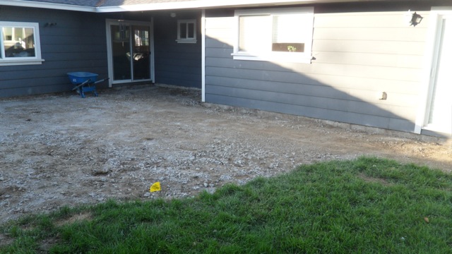 After: Looking towards house