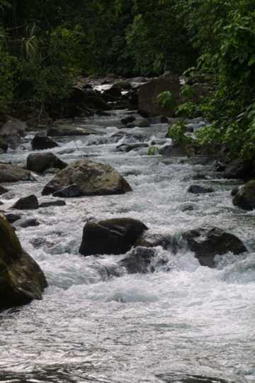 IMG_4423 A Costa Rican stream