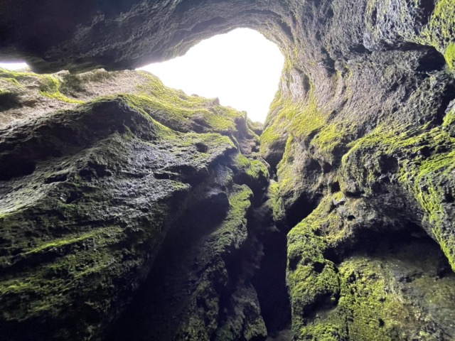 Looking up inside the gorge