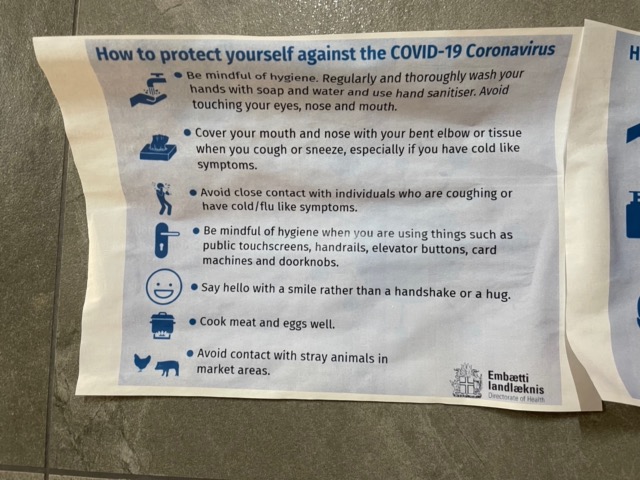 At the Vík Campground with some questionable COVID-19 advice