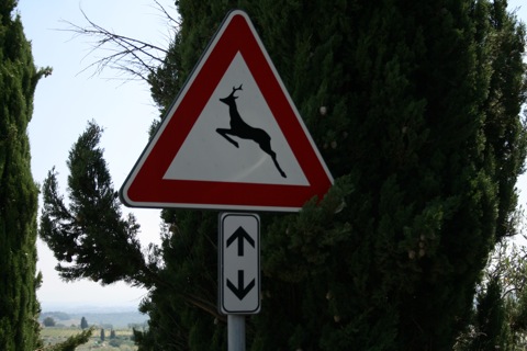 Flying reindeer sign